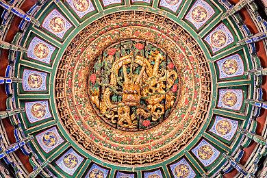 手游《尼尔Re[in]carnation》发布新章PV 1月19日上线